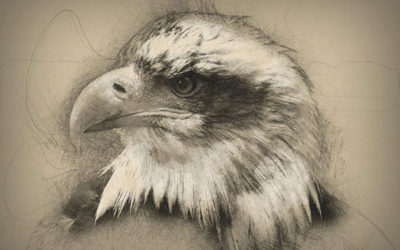 Développer ses capacités pour le dessin