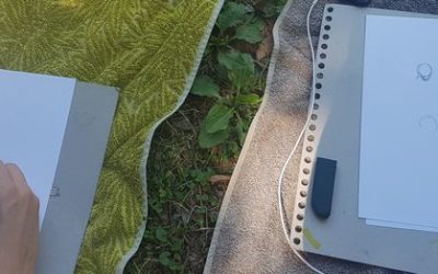 Pourquoi Voir et dessiner ?