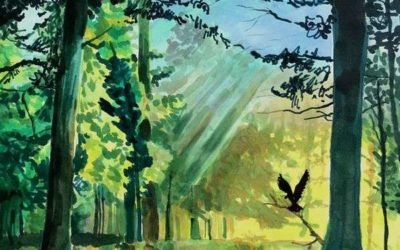 Quels feutres choisir ?