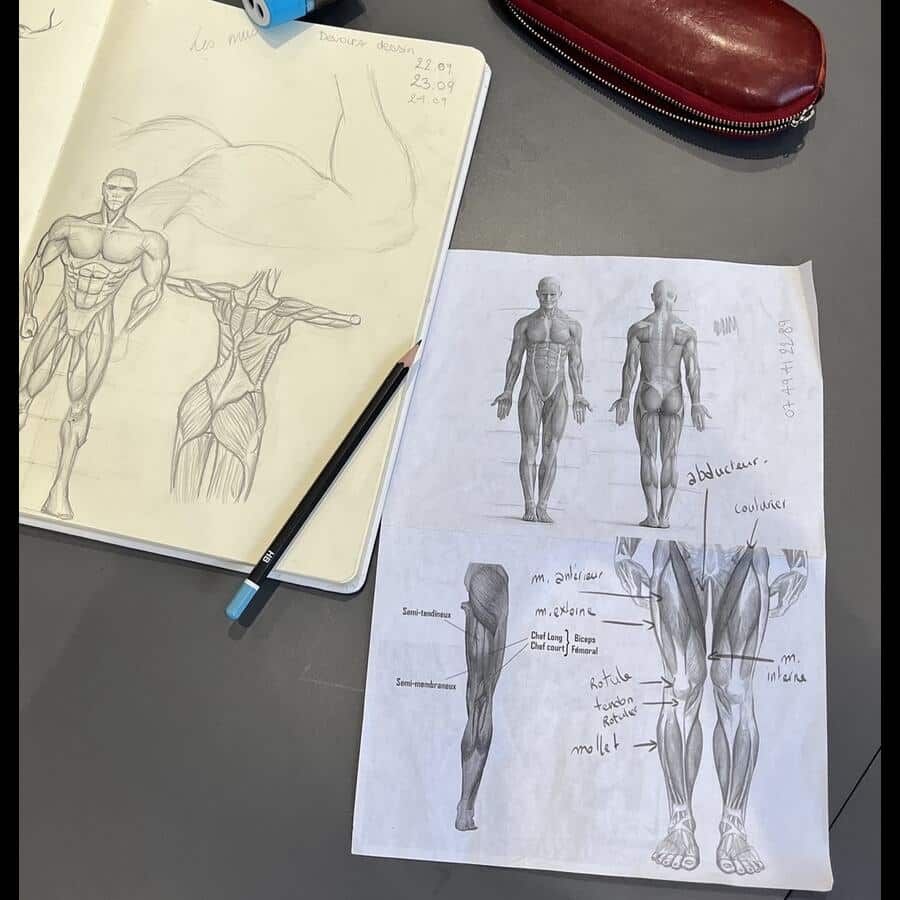 cours de dessin école de dessin Marseille 