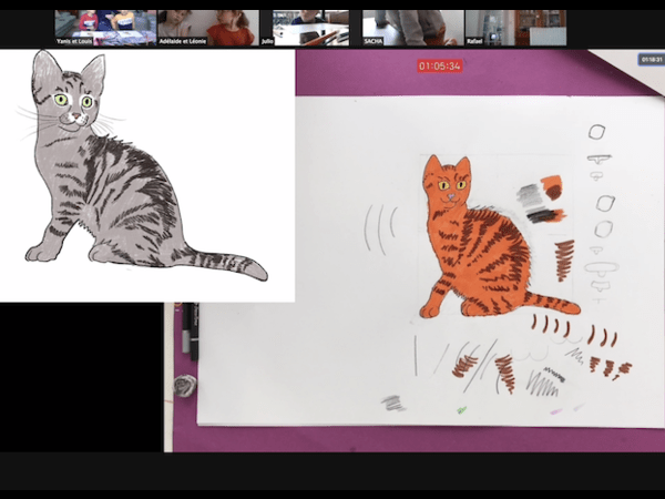 Dessin expliqué en cours en visio